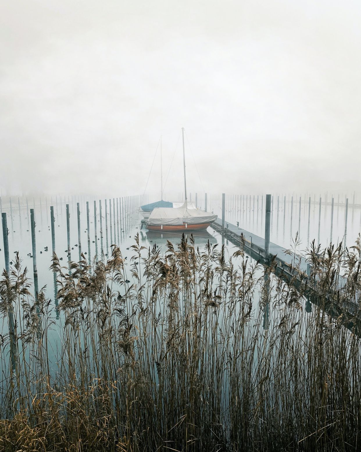 Yachtclub Kreuzlingen