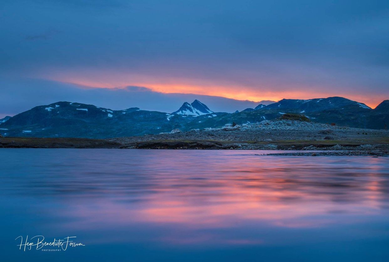 Tyin - Photo by Hege Benedicte photography