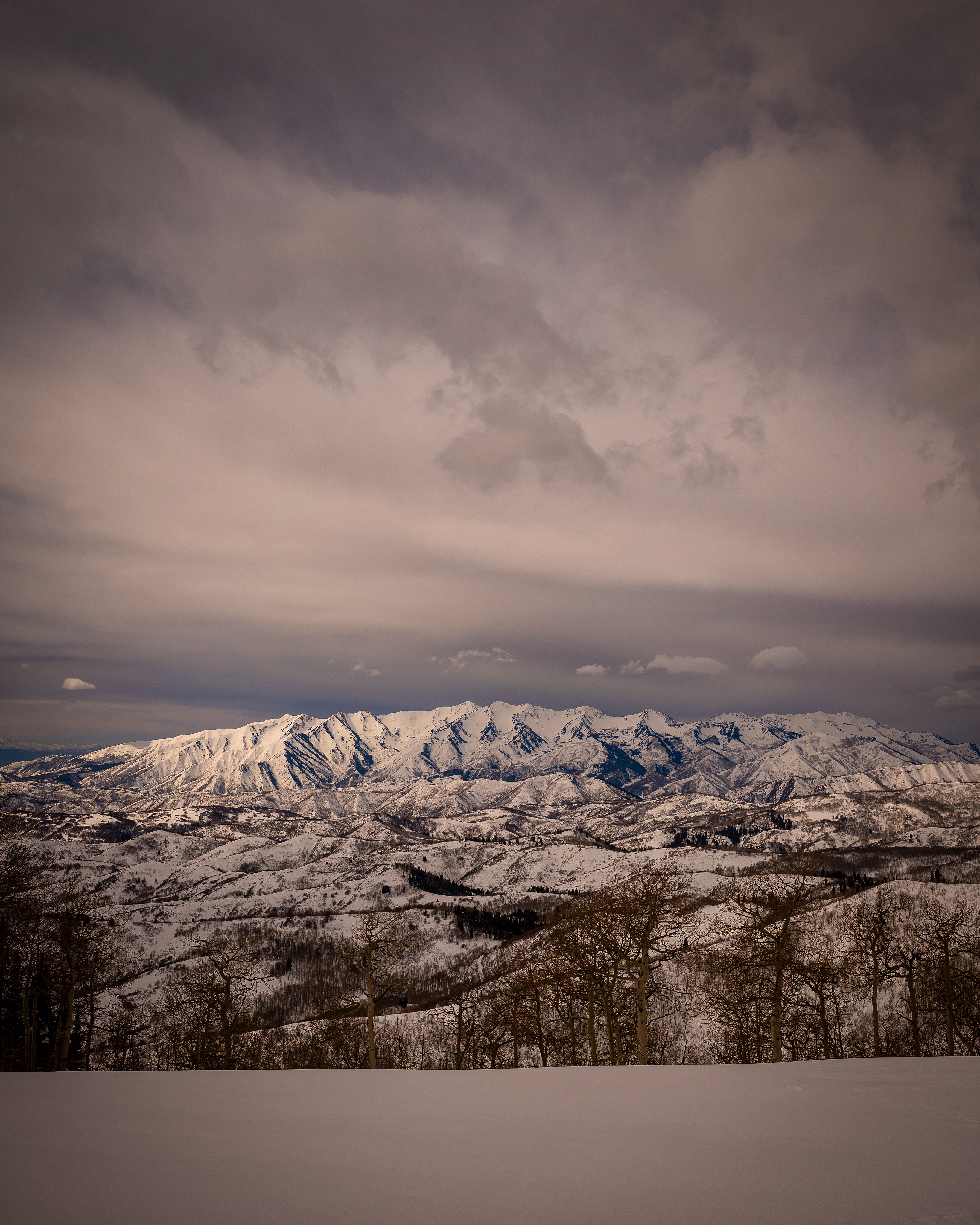 Strawberry Ridge  — Photo by scarter-photography.com
