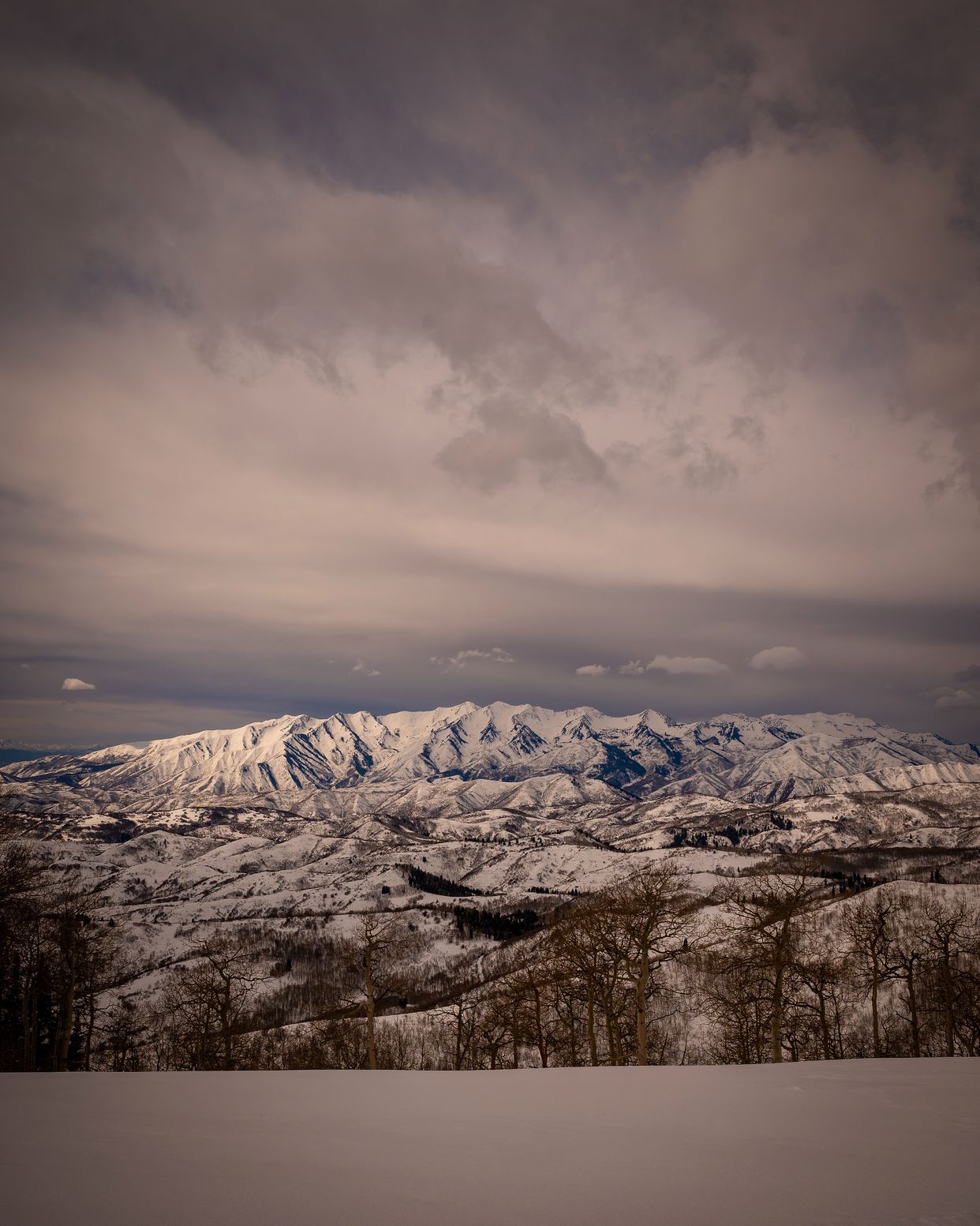 Strawberry Ridge - Photo by scarter-photography.com