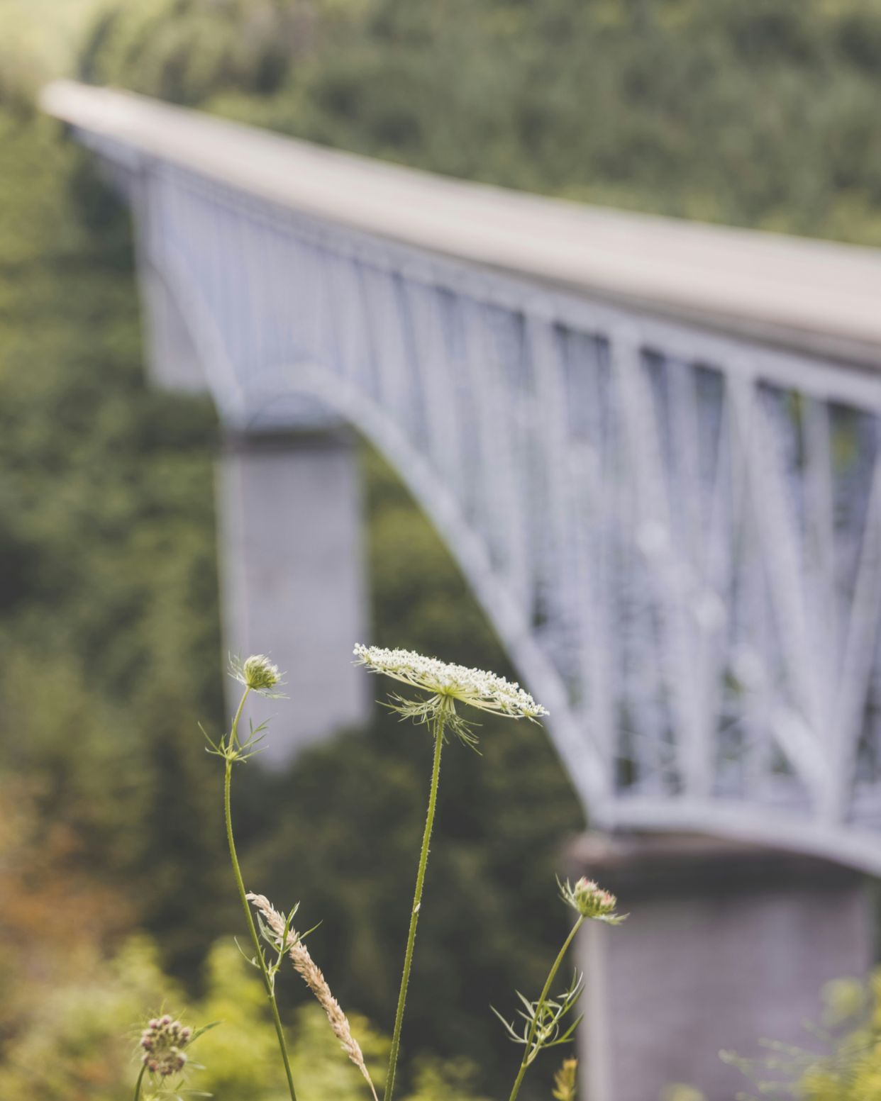 Hoffstadt Creek Bridge