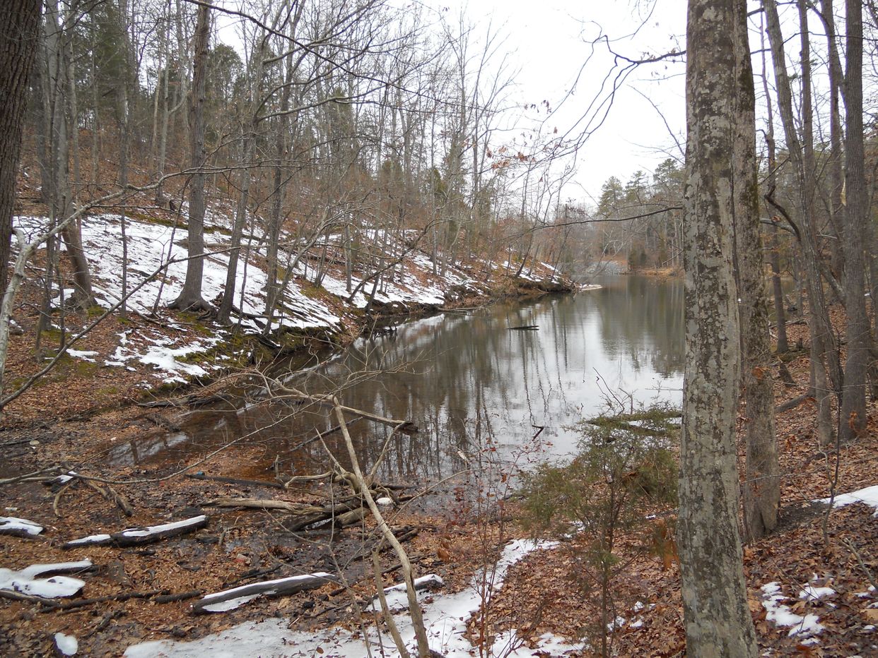Lake Wylie Cove 