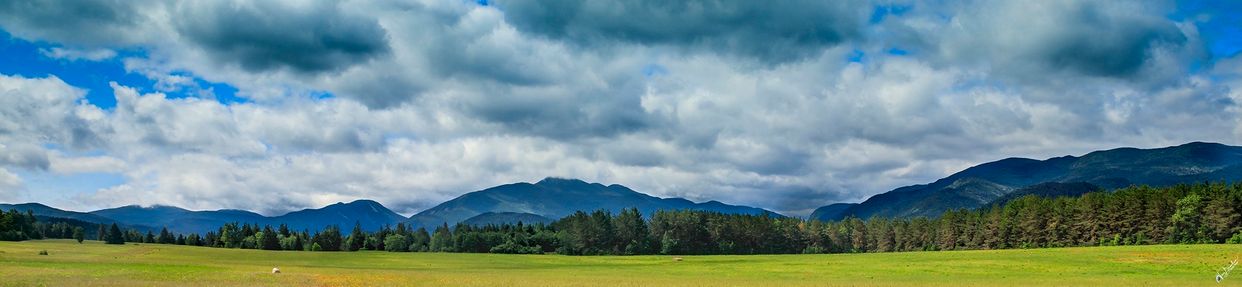 Scenic Countryside