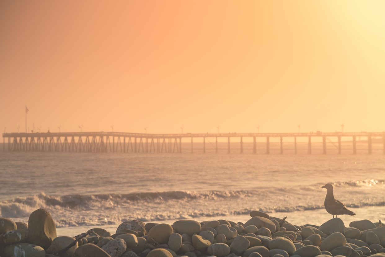 San Buenaventura State Beach