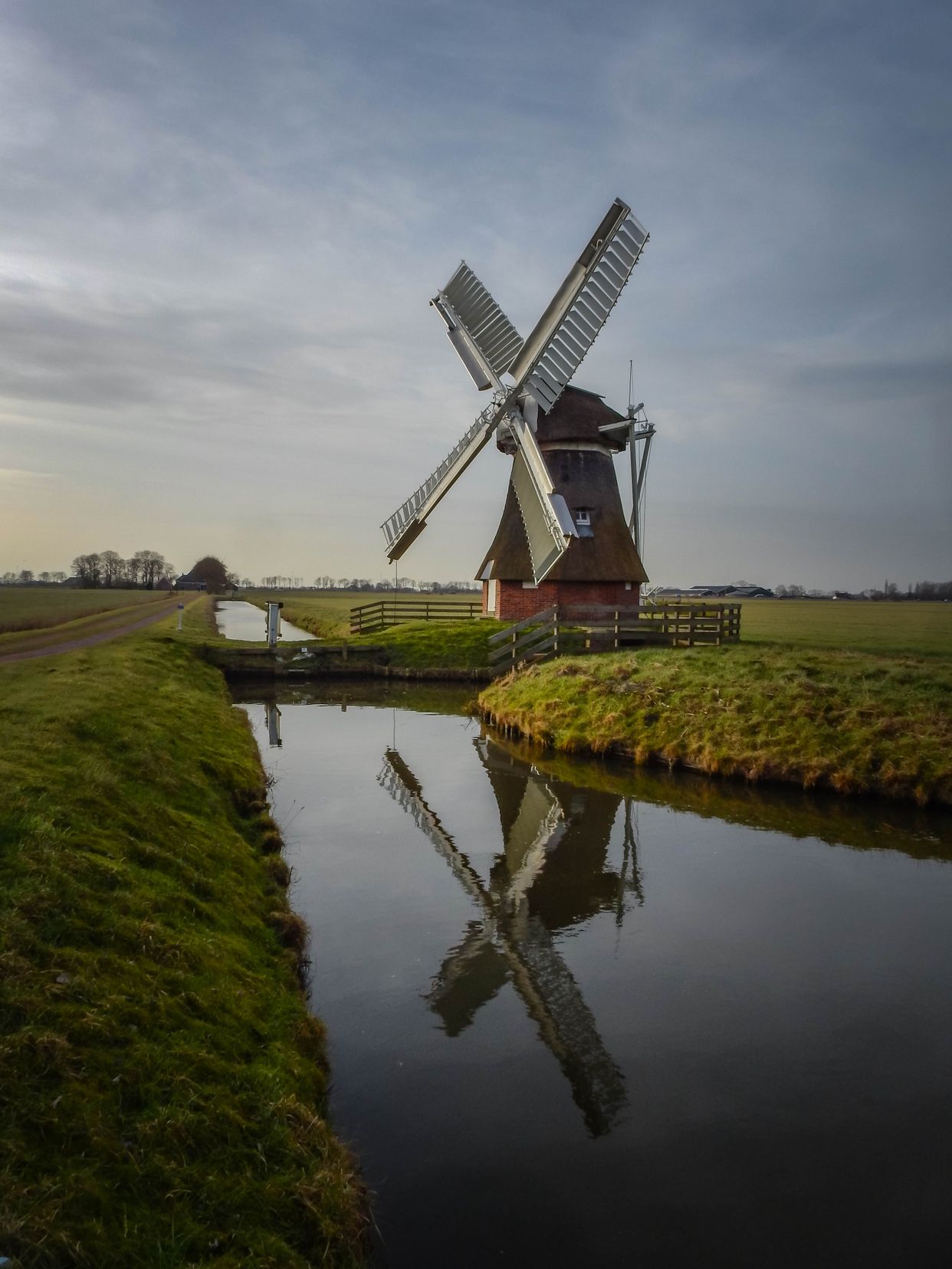 't Witte Lam