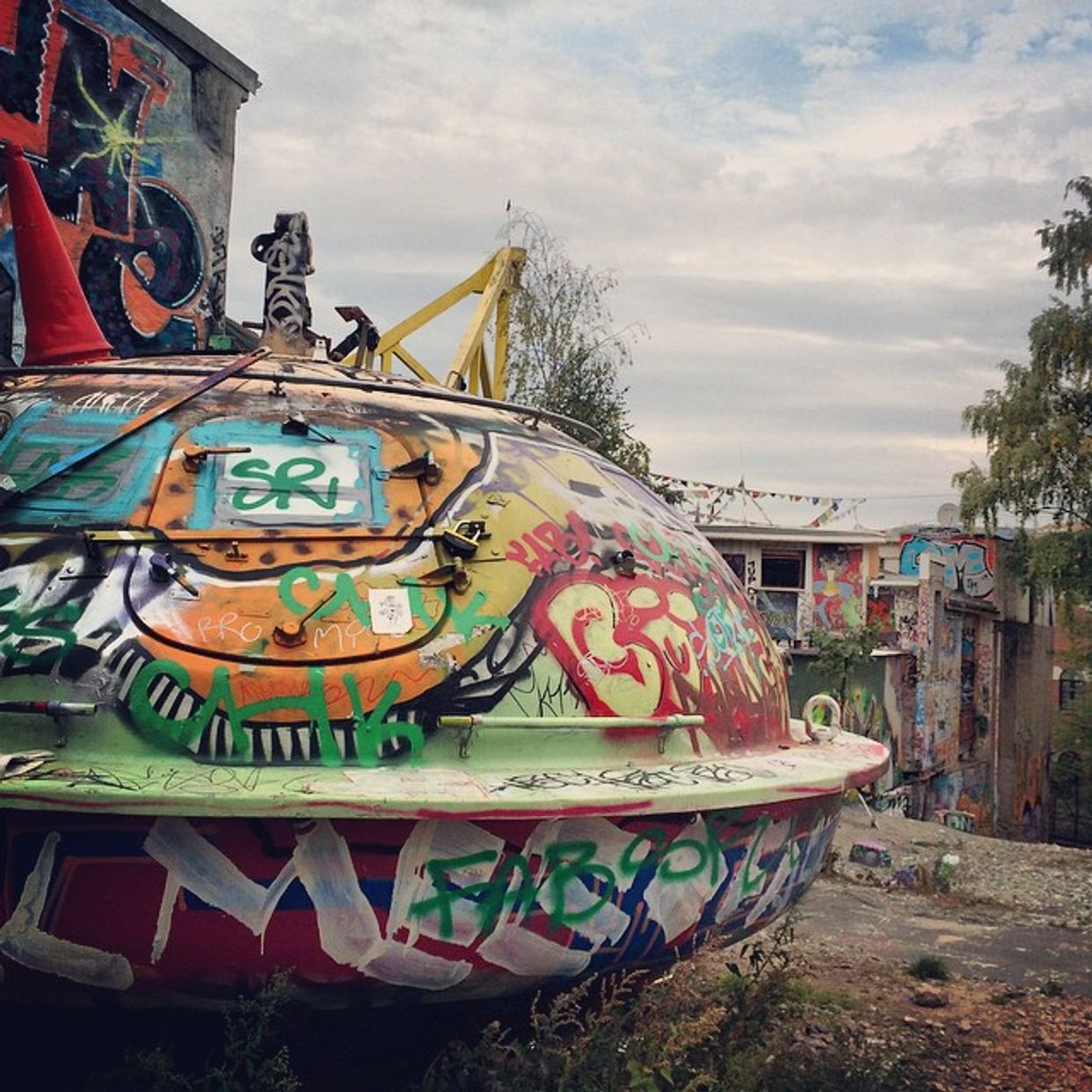Hausmania