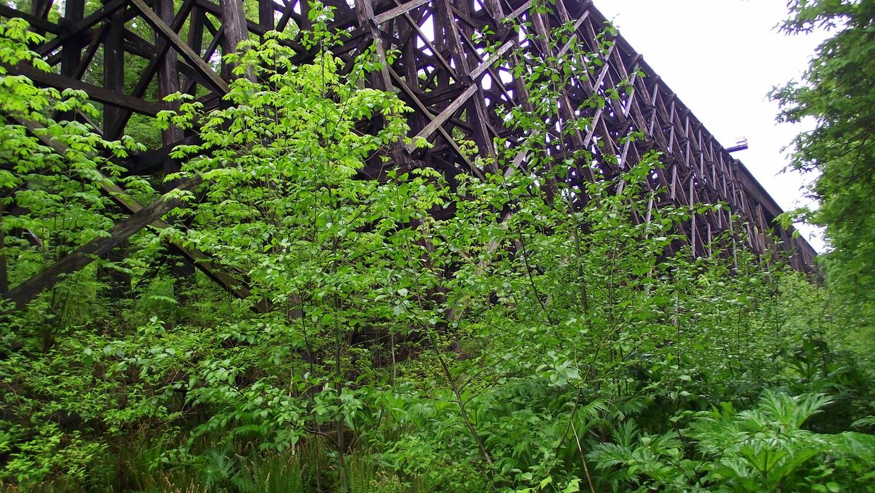 French Creek Trestle