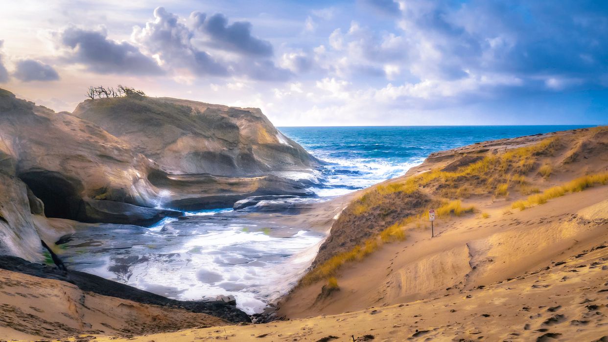 Cape Kiwanda Marine Garden