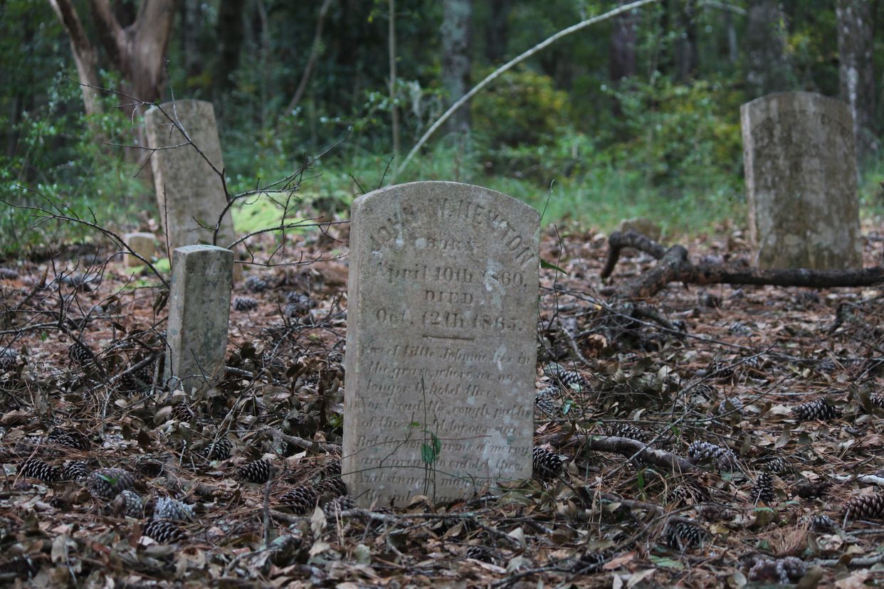Newton Homesite and Cemetery 