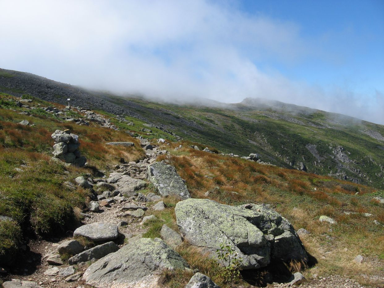 Appalachian Trail View