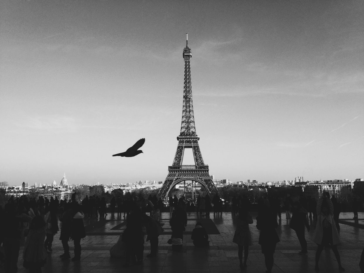 Parvis des Droits de l'Homme