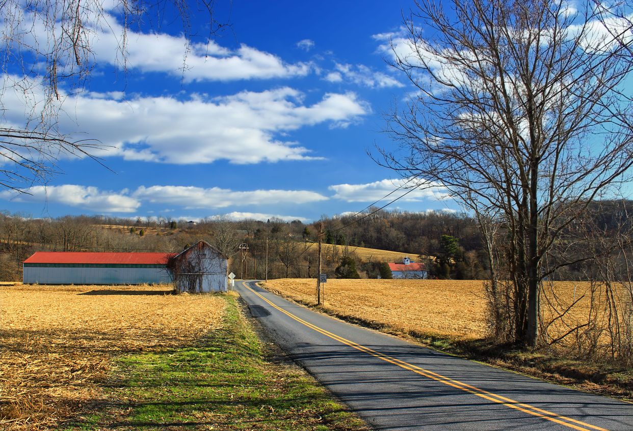 Gall Road View