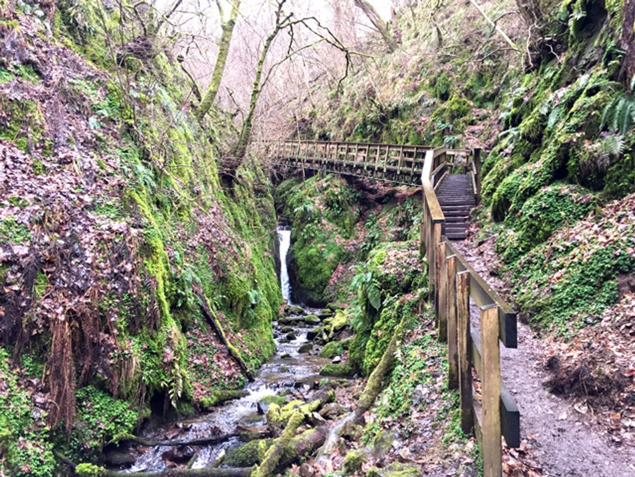 Dollar Glen
