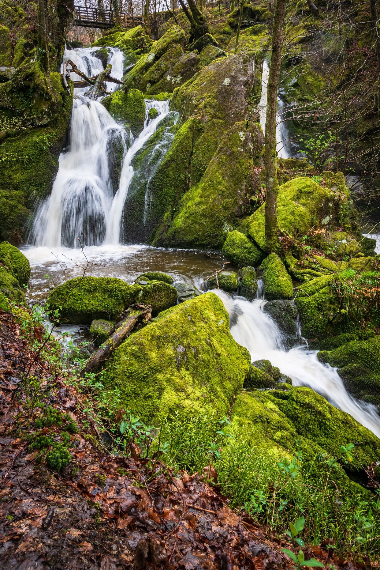 Stock Ghyll Force Waterfall 