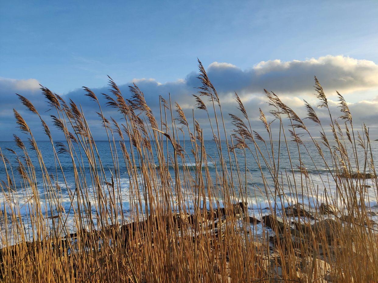 Wembury Beach