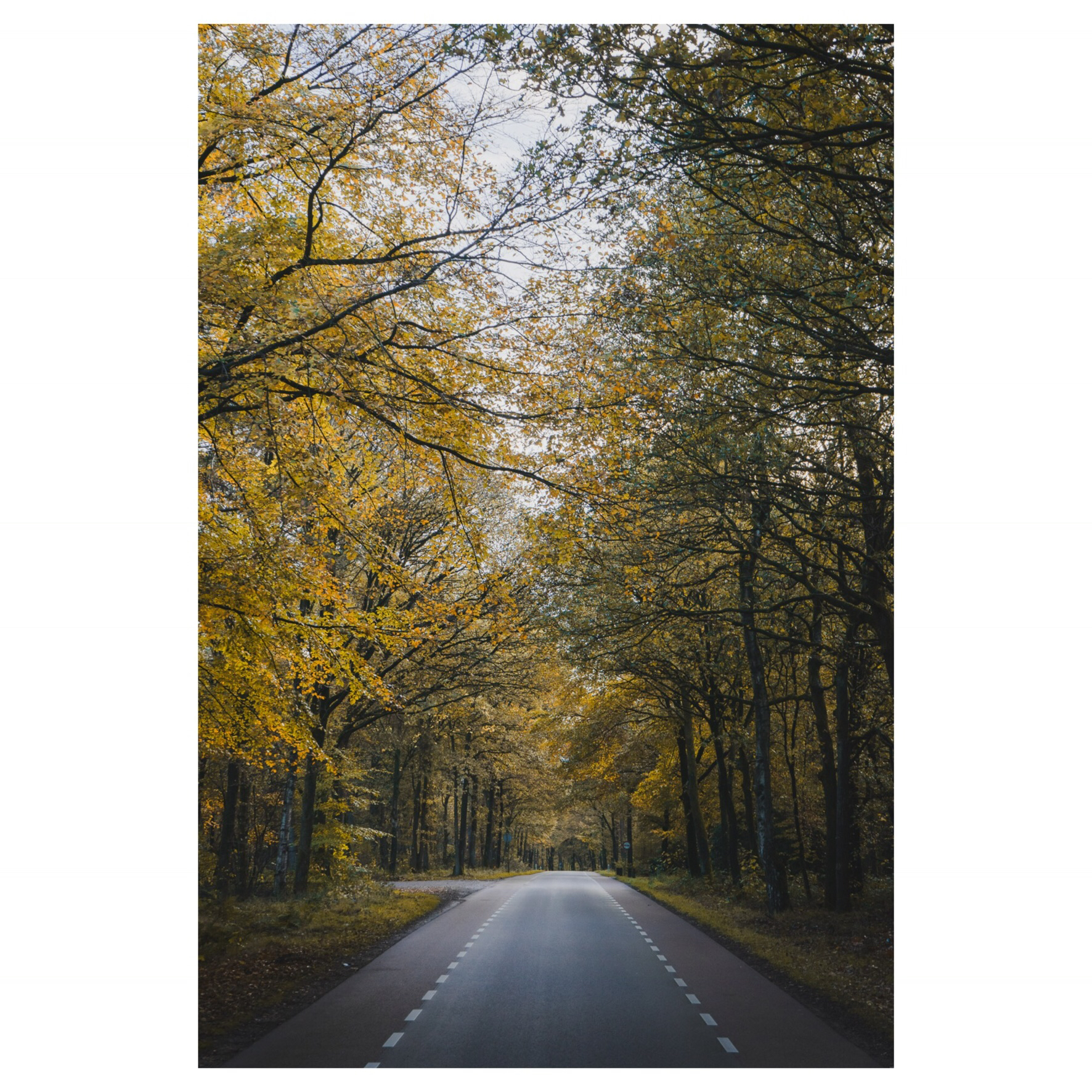 Bergweg  — Photo by recordsofmickey.nl