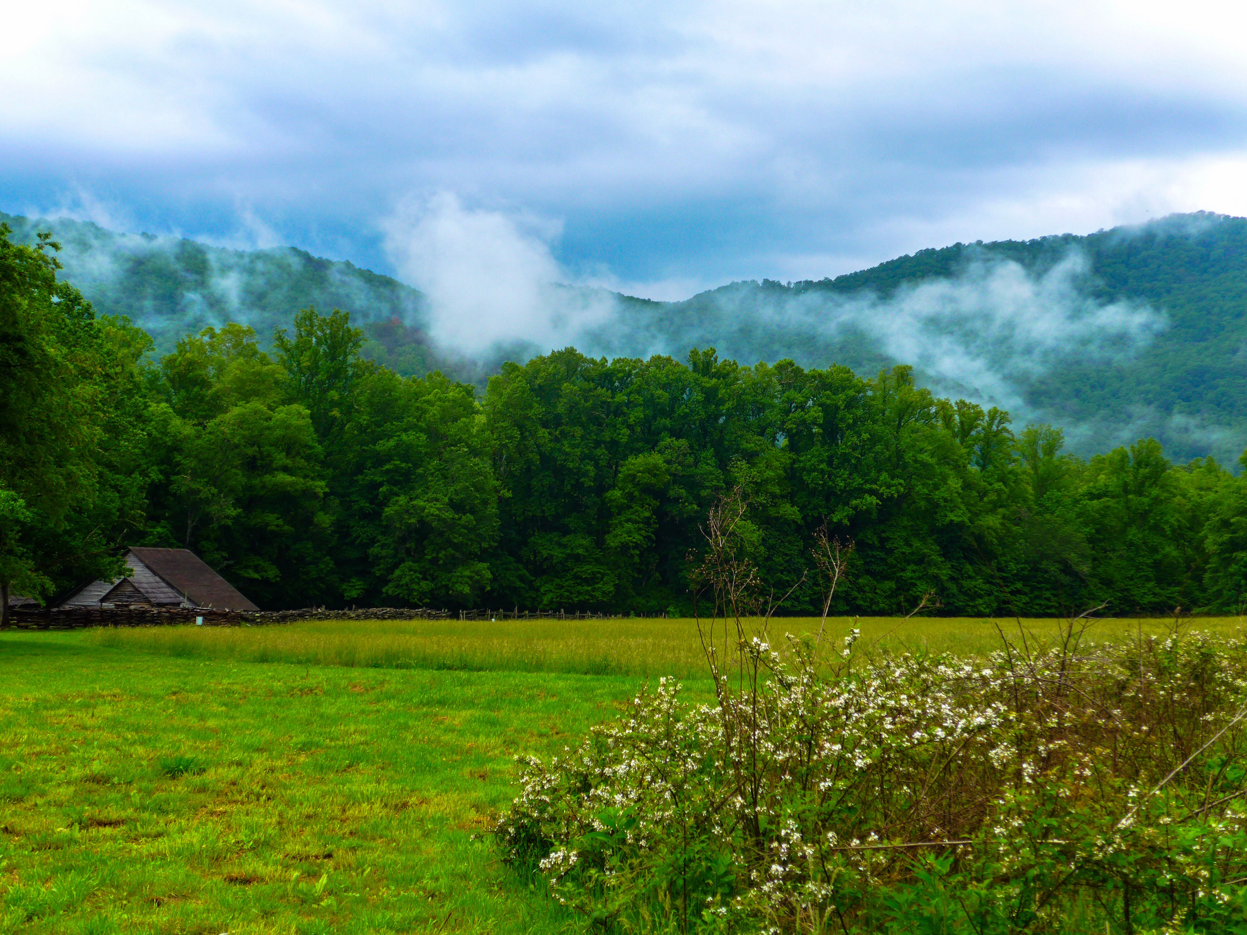 Oconaluftee River Park — Photo by instagram.com/hollymatheson