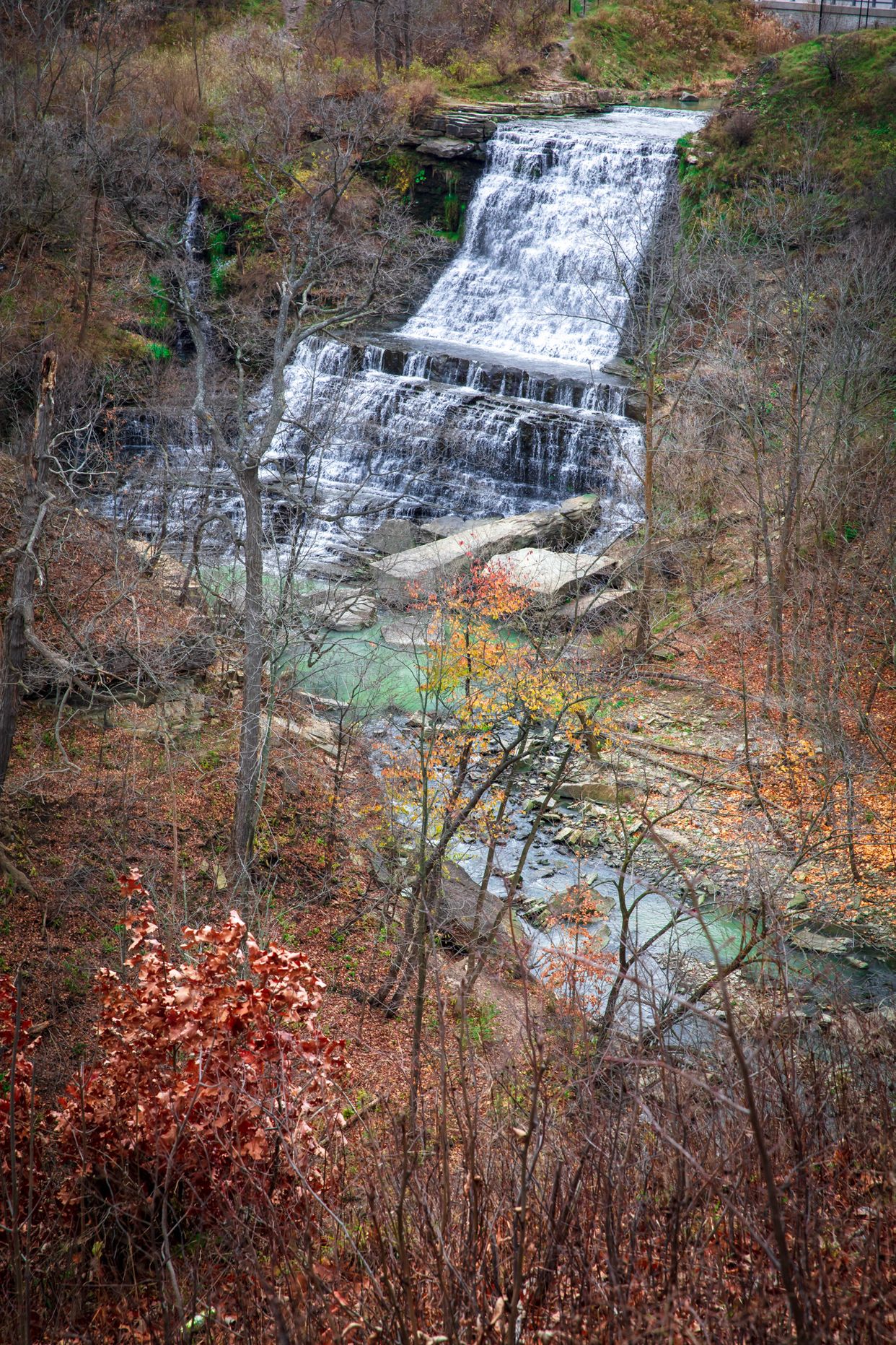 Albion Falls