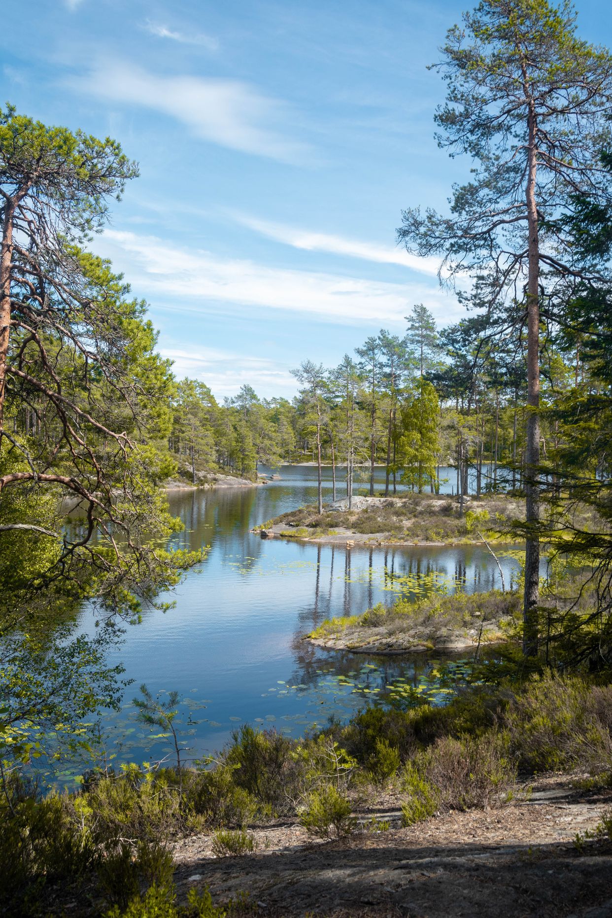 Tresticklan National Park