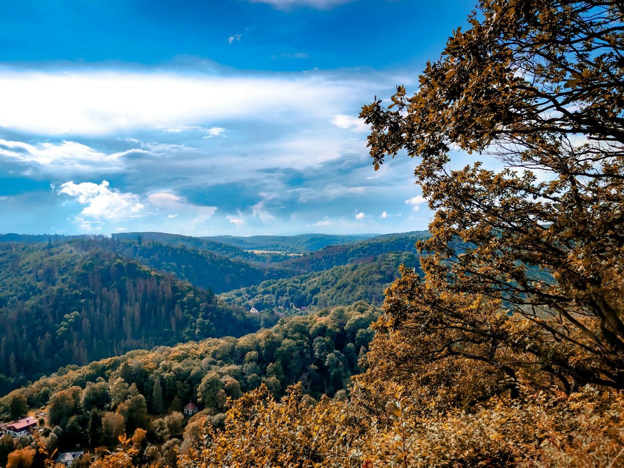 Weisser Hirsch (Aussichtspunkt)
