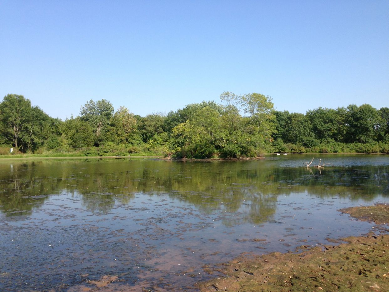 Wargo Pond