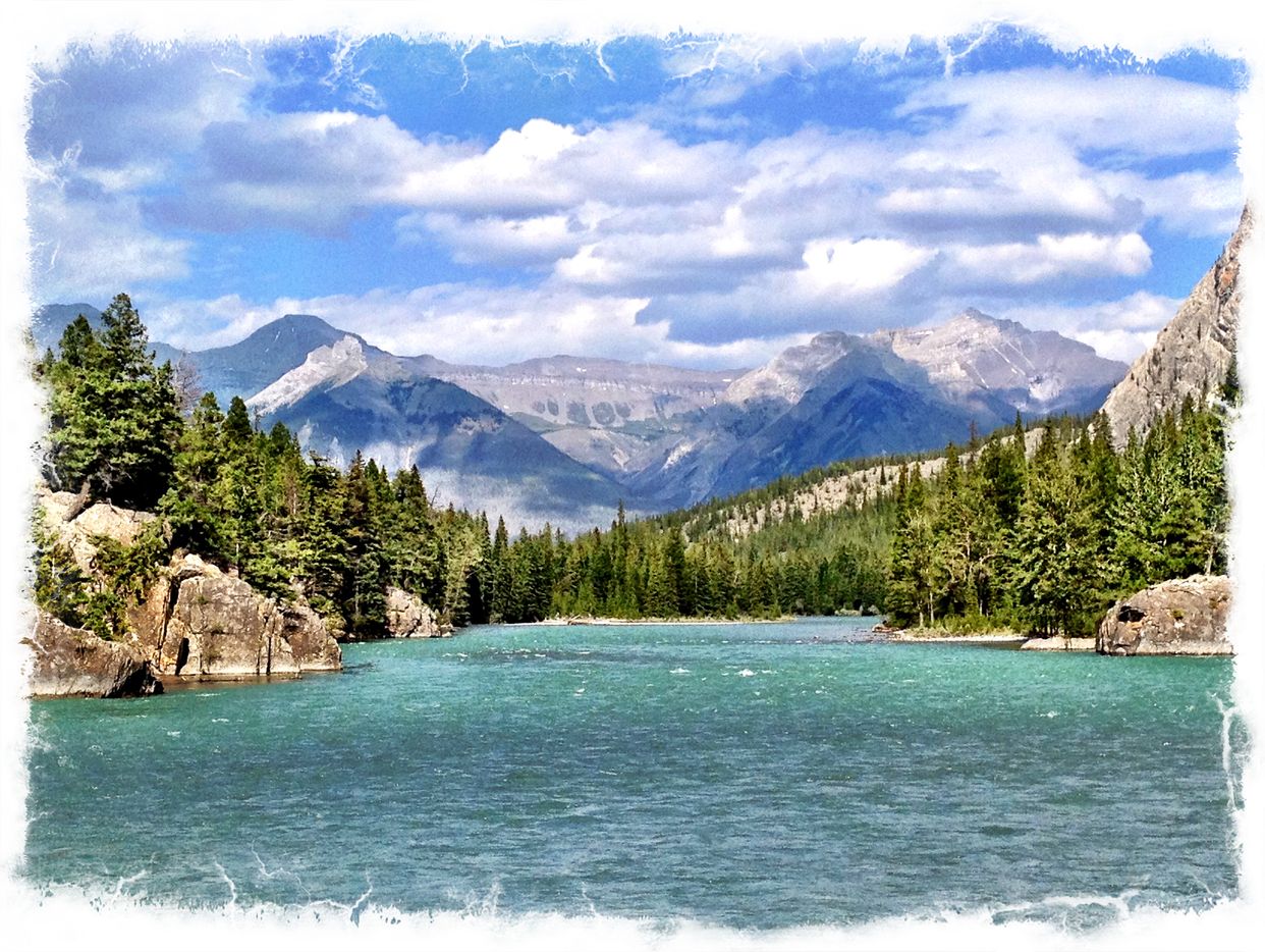 Bow River Viewpoint