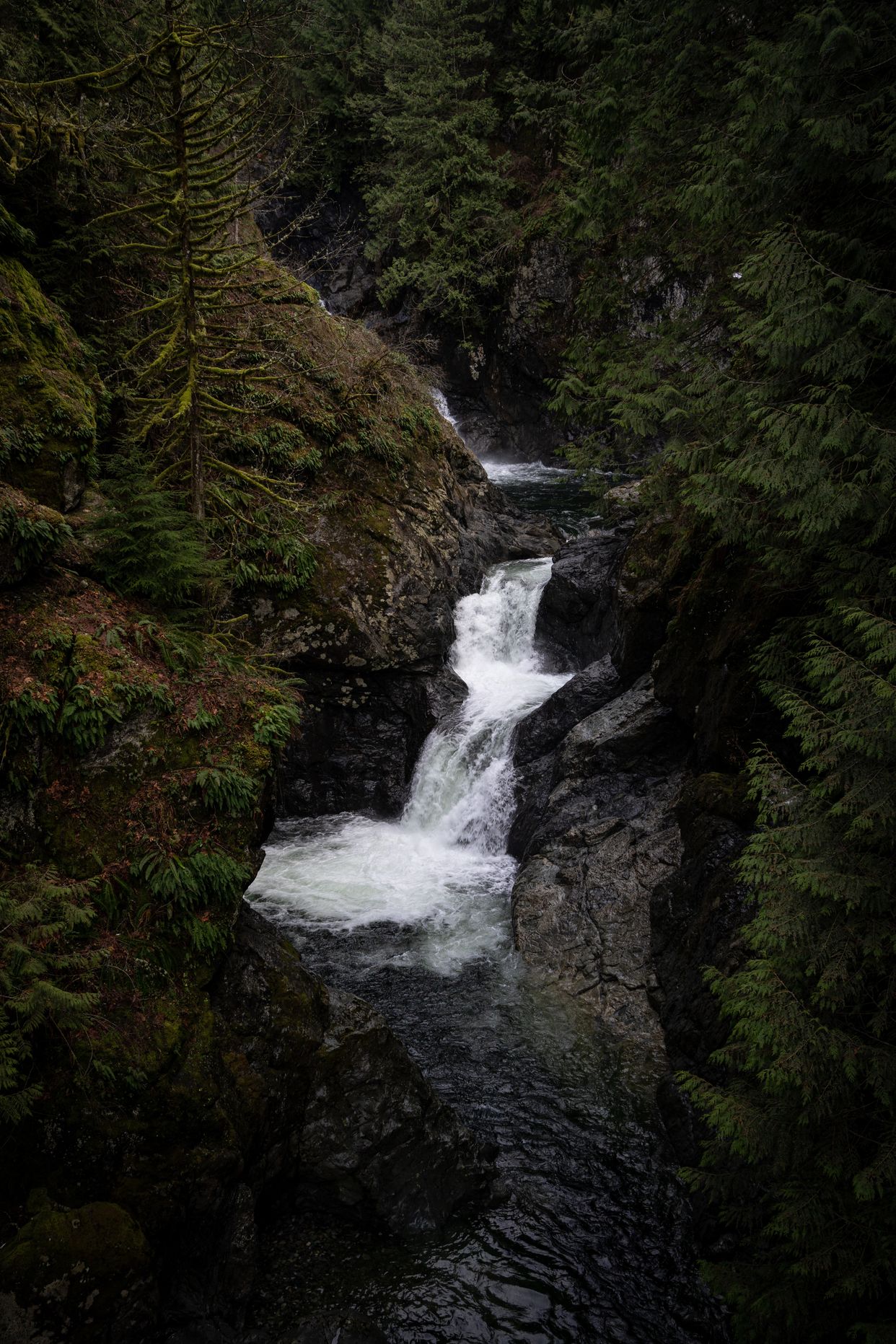 Twin Falls