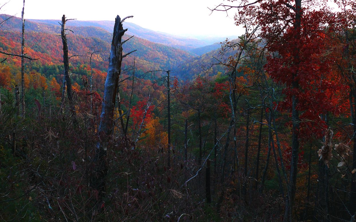 Chestnut Mountain Ridge 