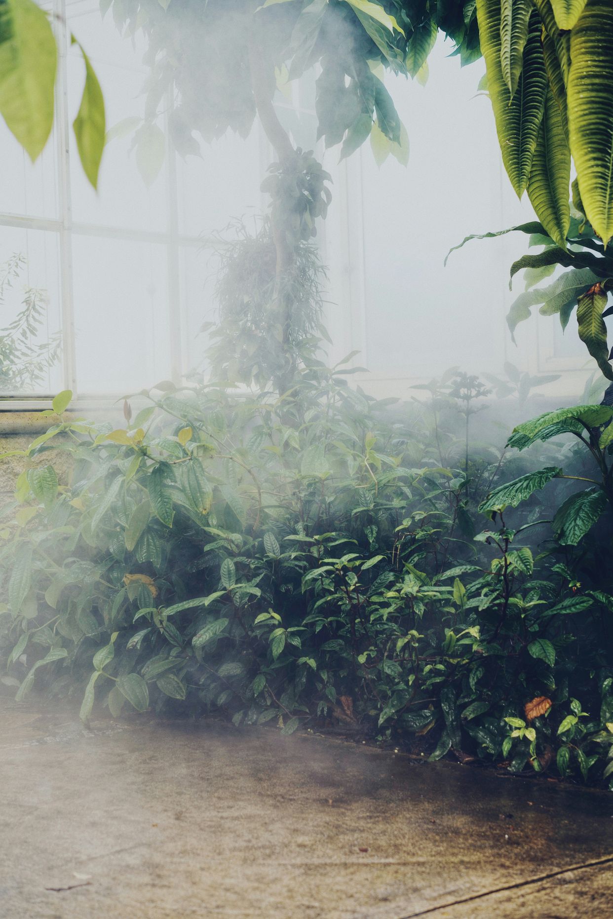 The Huntington Library, Art Museum, and Botanical Gardens