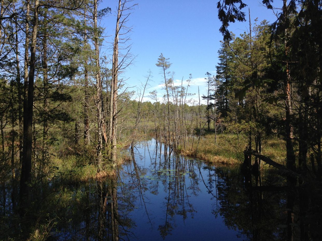 Pakim Pond