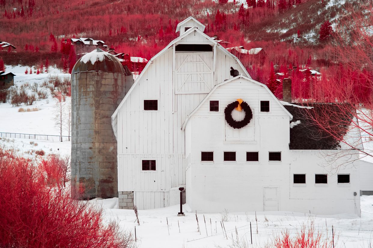 McPolin Barn
