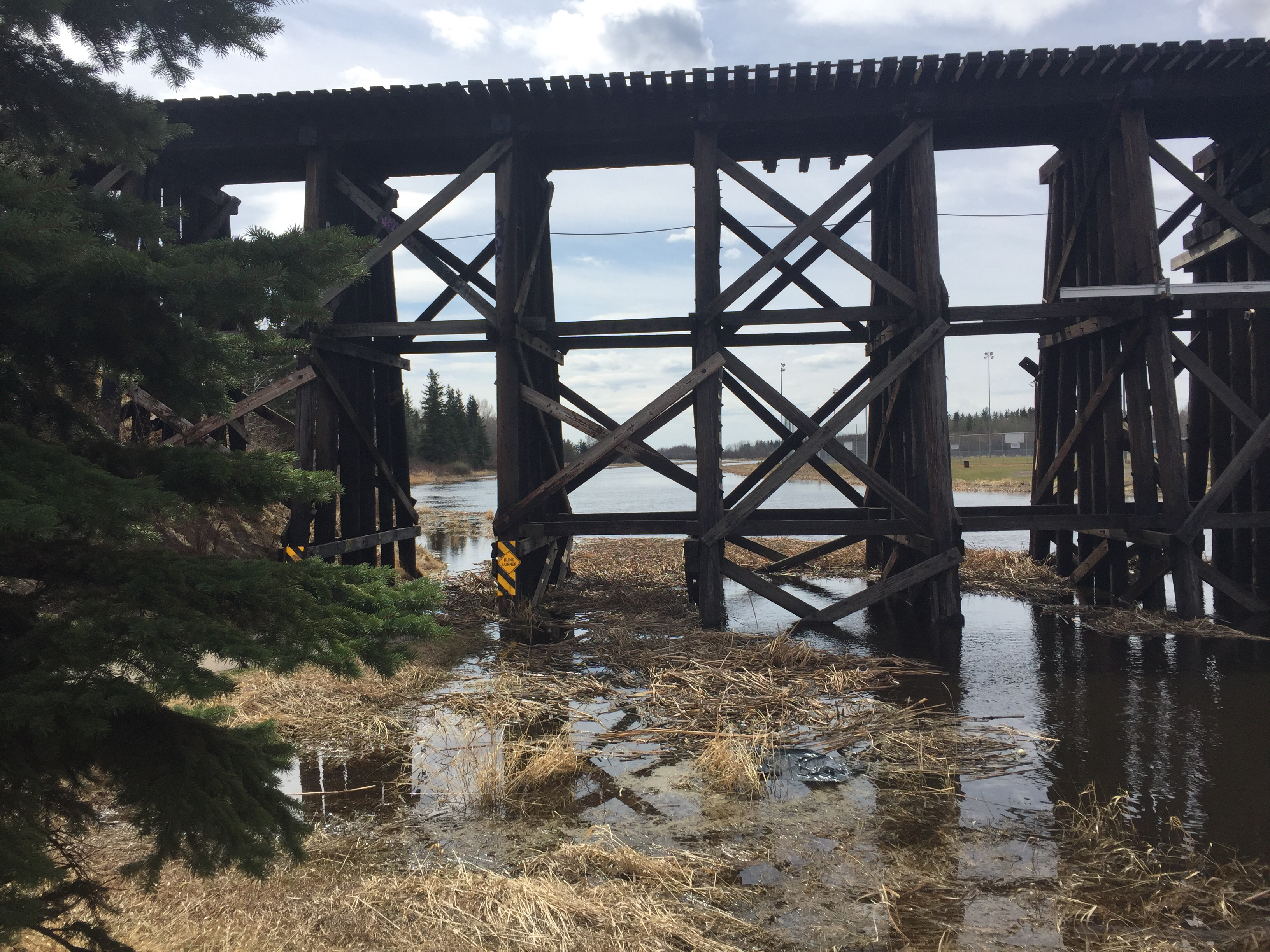 Lions Park Trestle Bridge — Photo by techuntangled.ca
