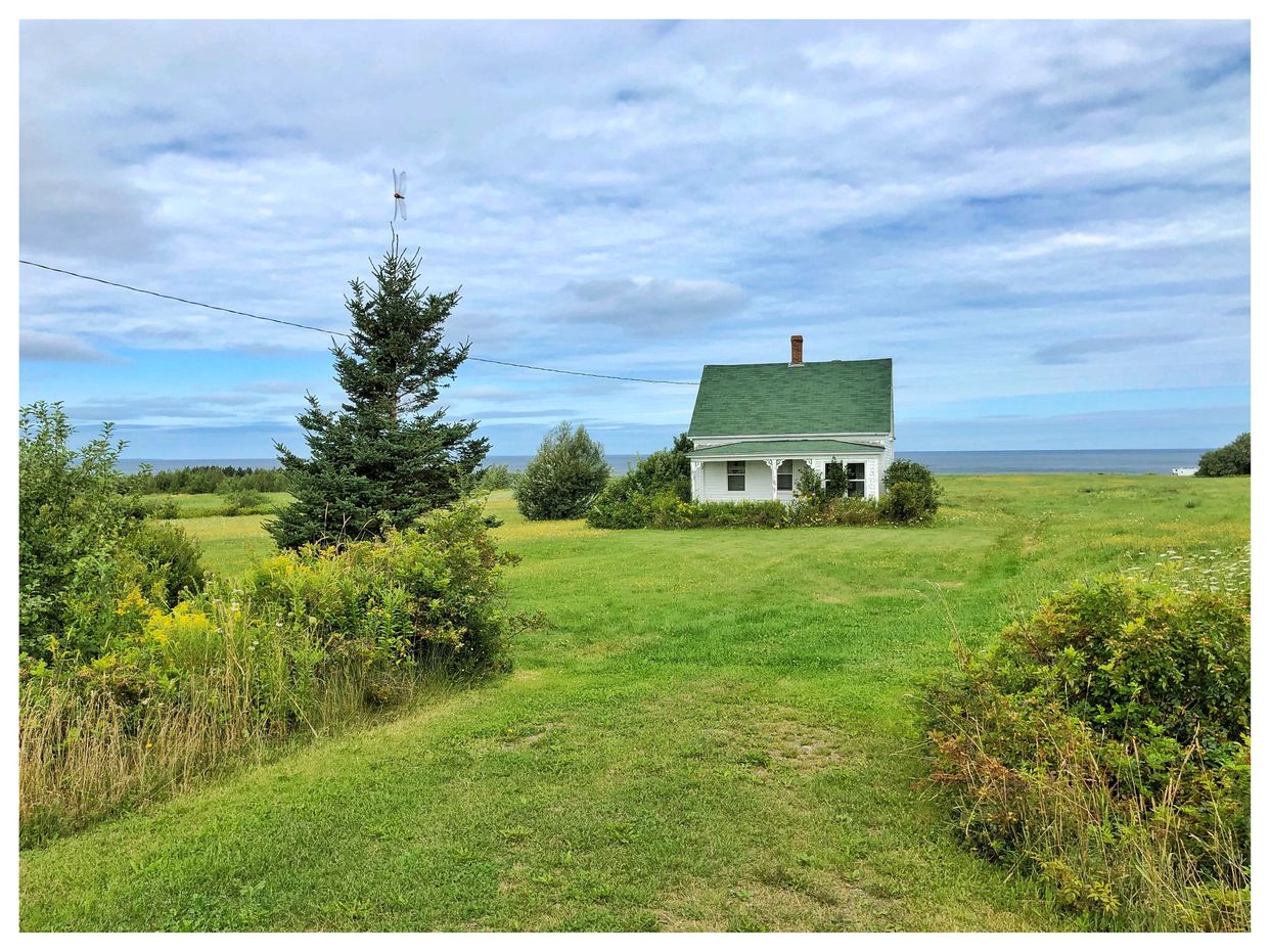 Shore Rd View
