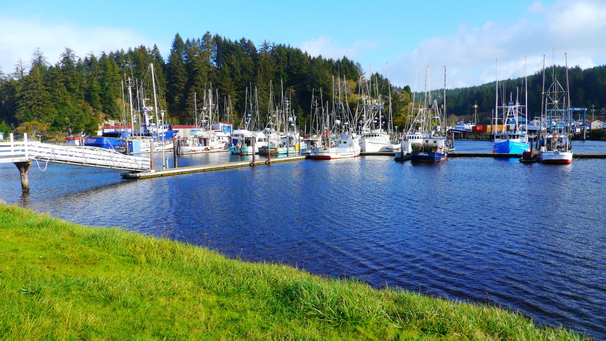 Salmon Harbour Marina