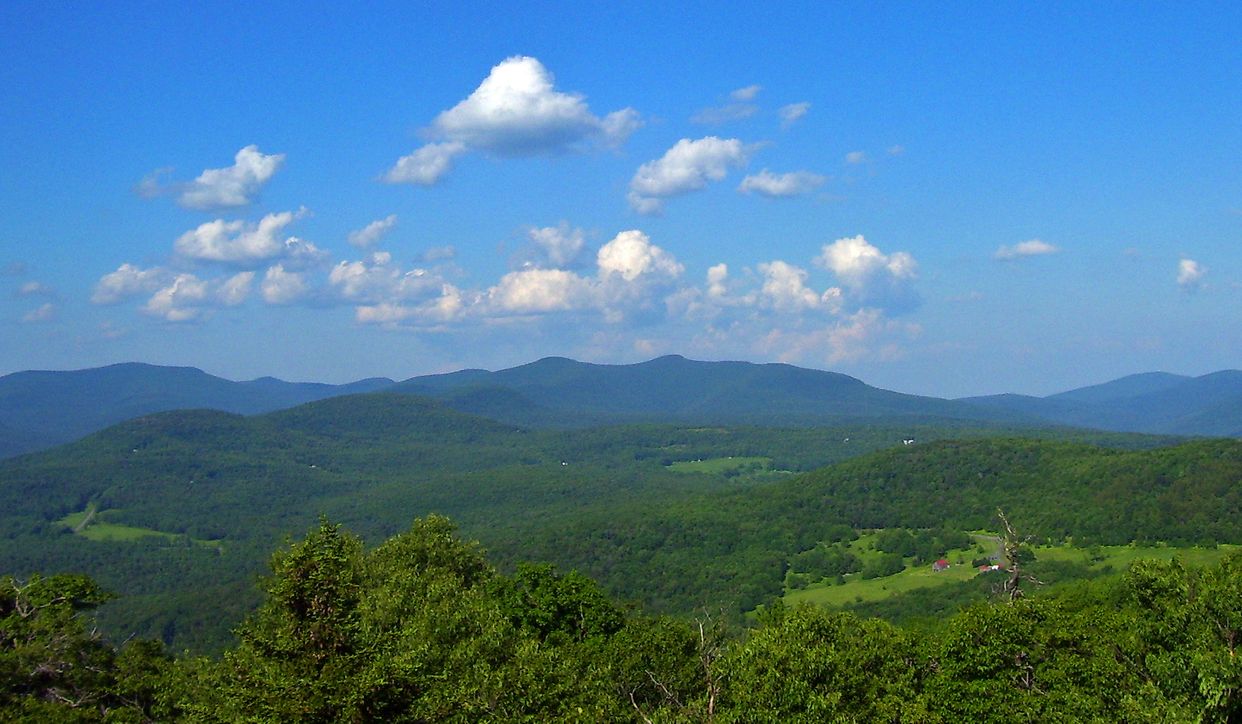 Red Hill Fire Tower View