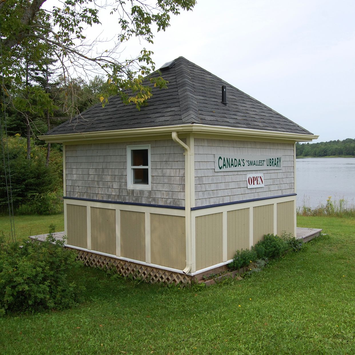 Cardigan "Worlds Smallest Library"