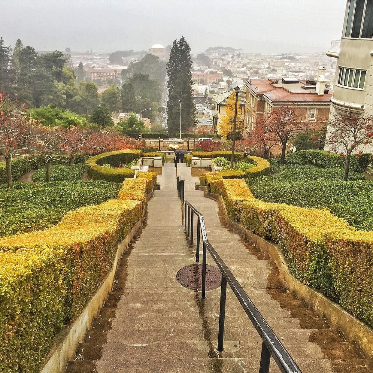 Lyon Street Steps