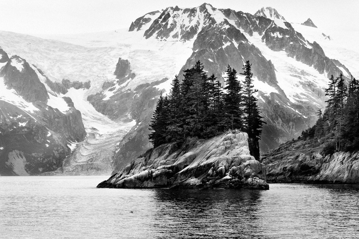 Kenai Fjords National Park Rocky Outcrop