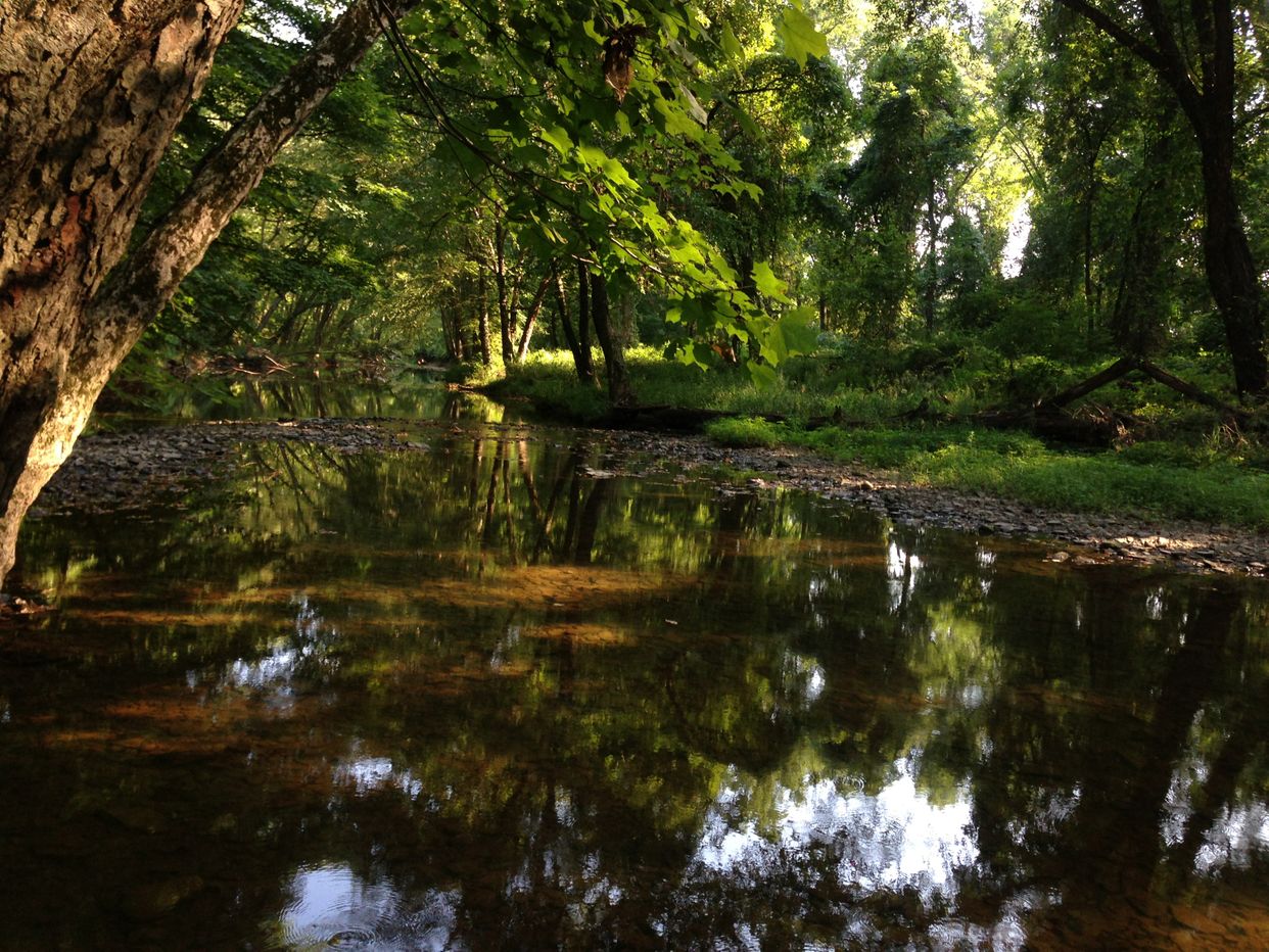 Stony Brook 