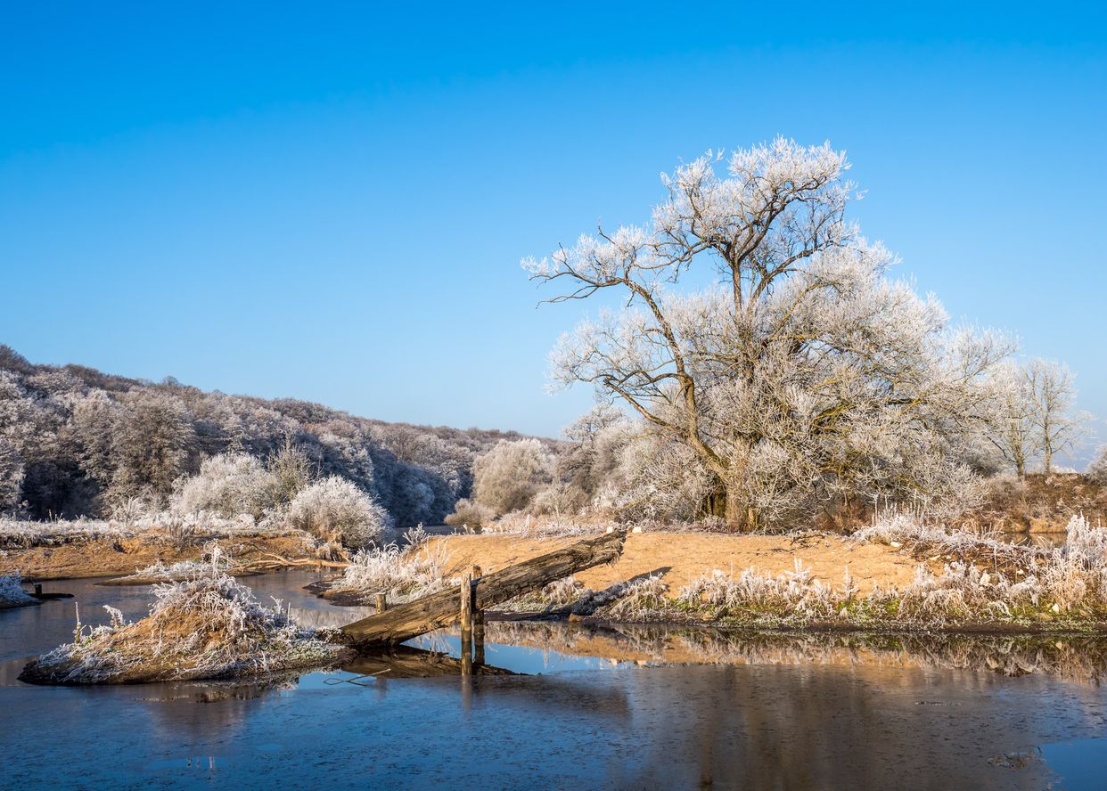 Regnitz River
