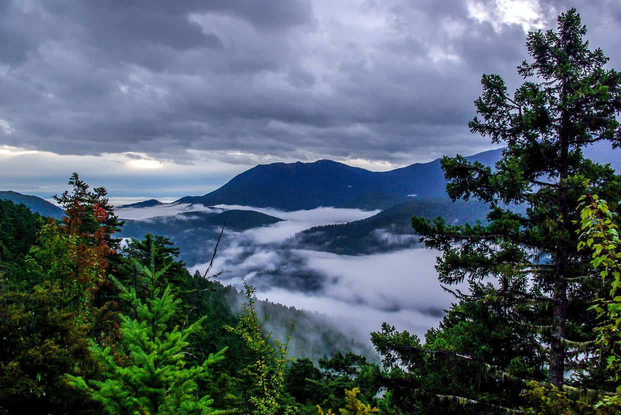 Hurricane Ridge