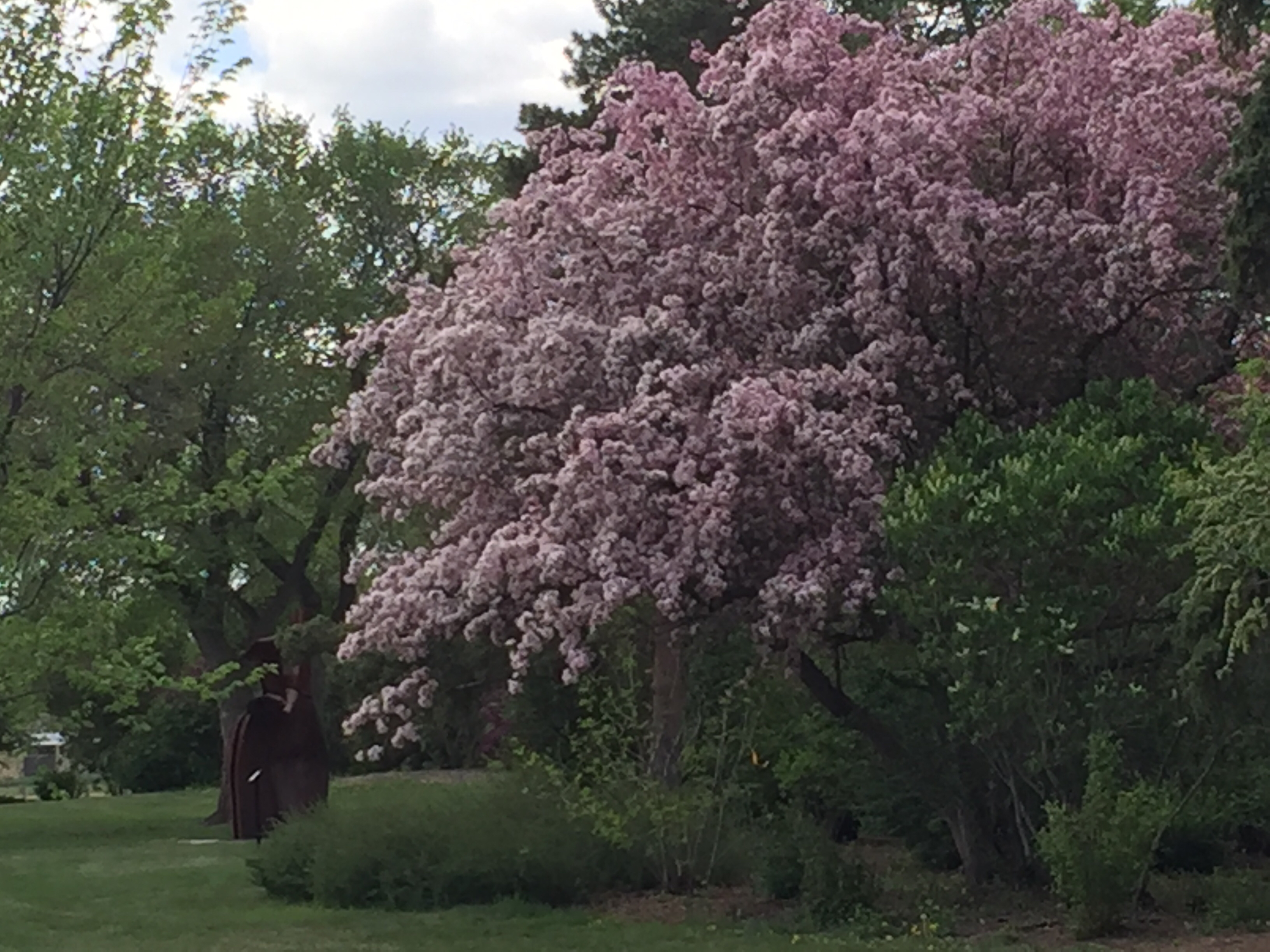 Borden Park — Photo by Cyndi