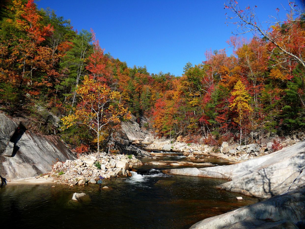 Wilson Creek