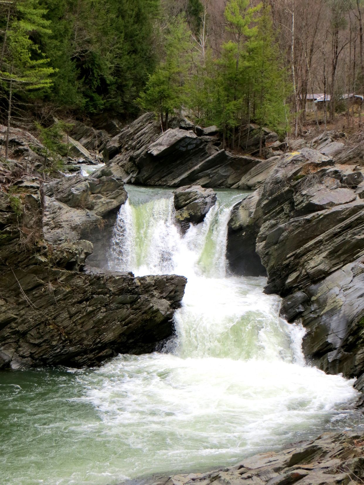 Twin Falls