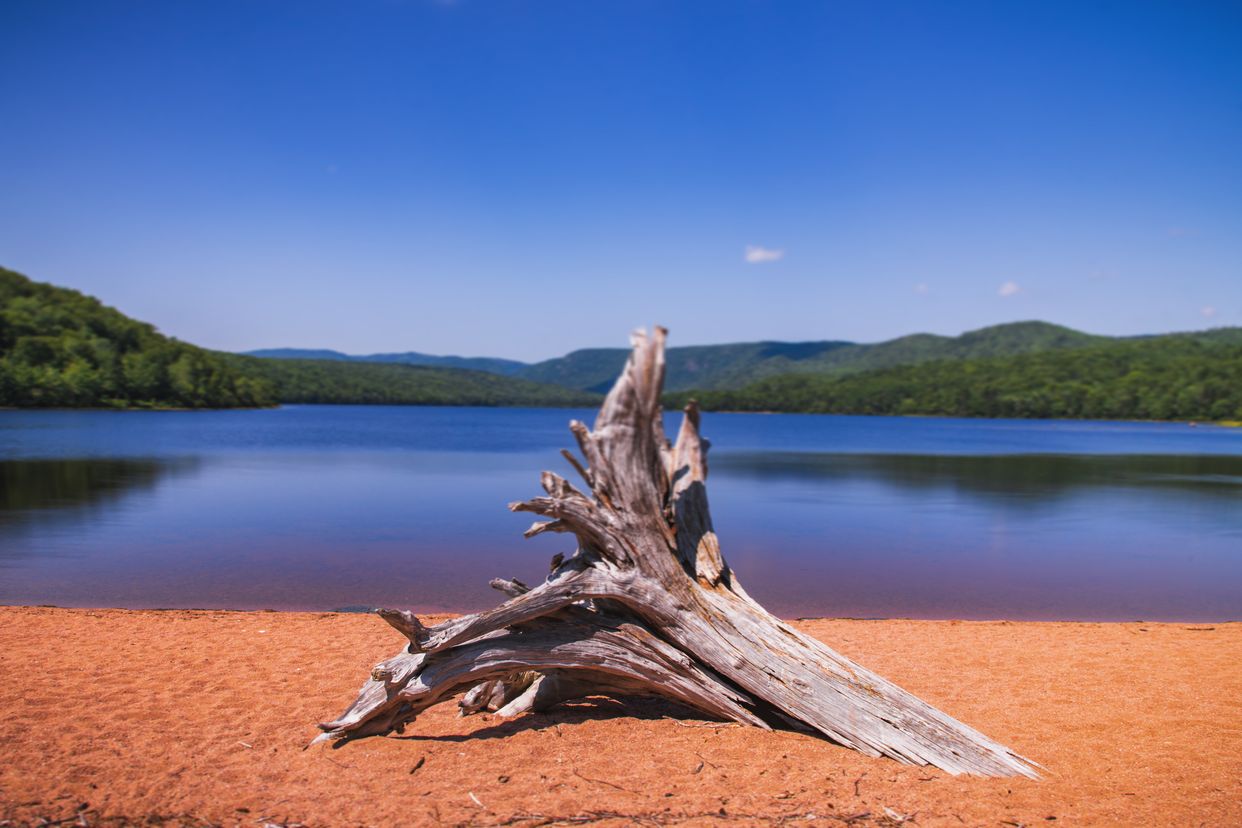 Warren Lake
