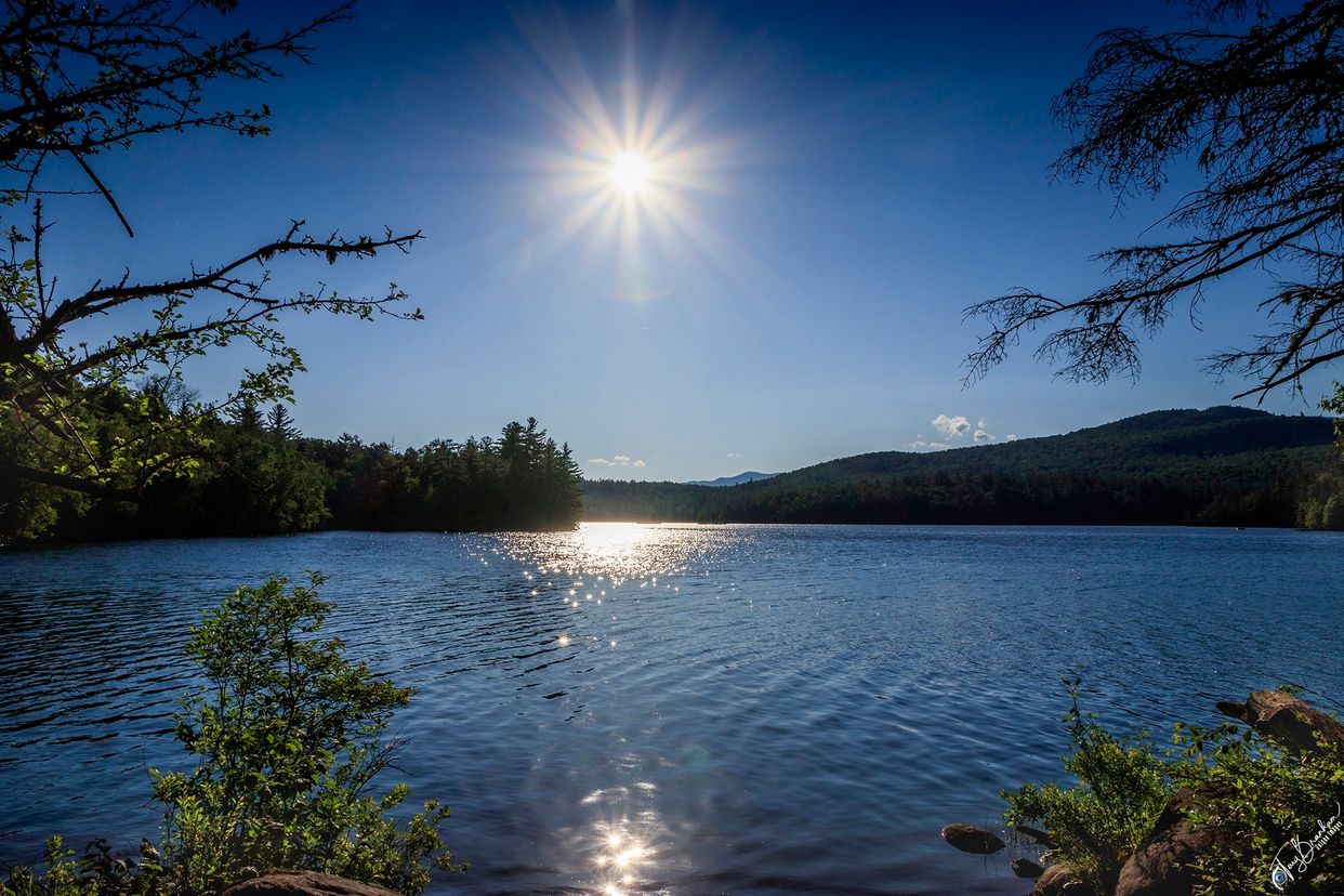 Clear Pond