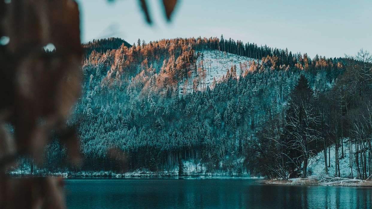 Schliersee shore