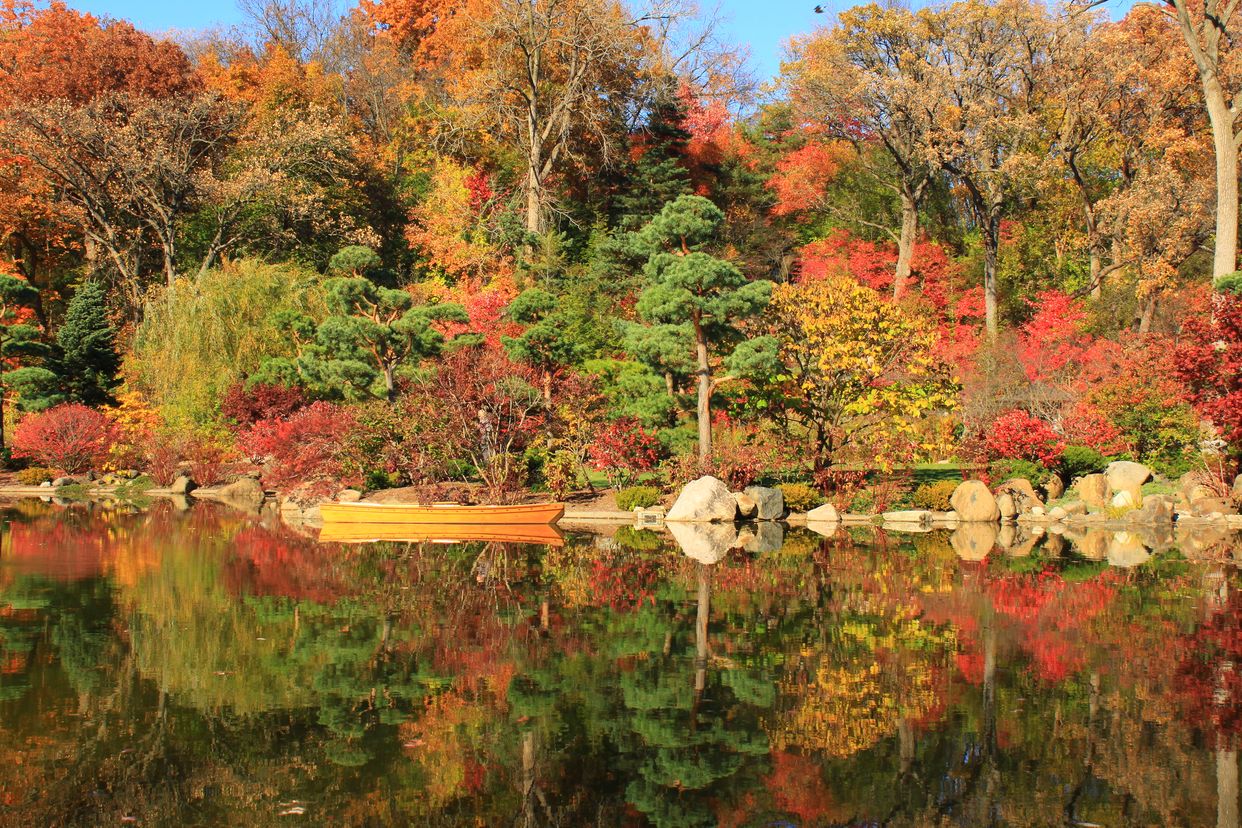 Anderson Japanese Garden