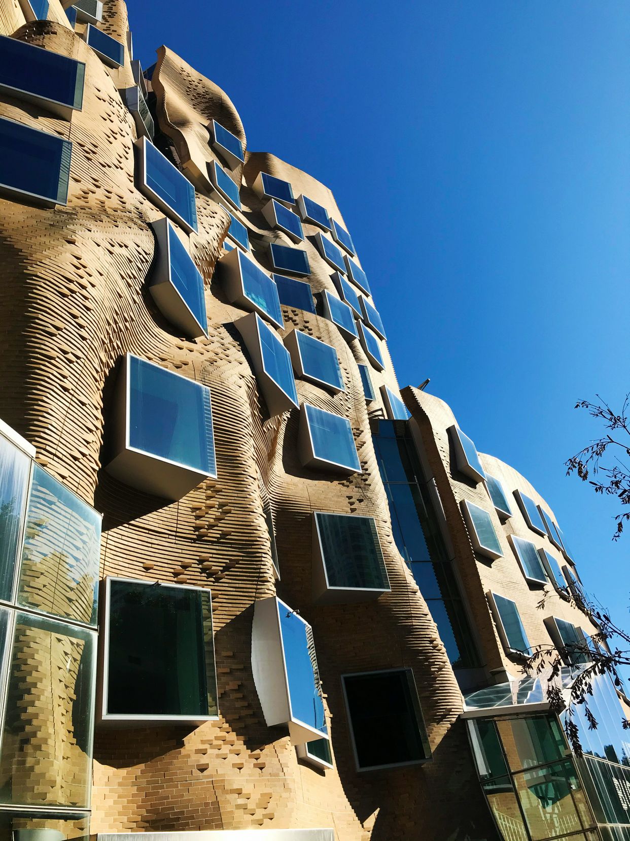 Dr Chau Chak Wing Building