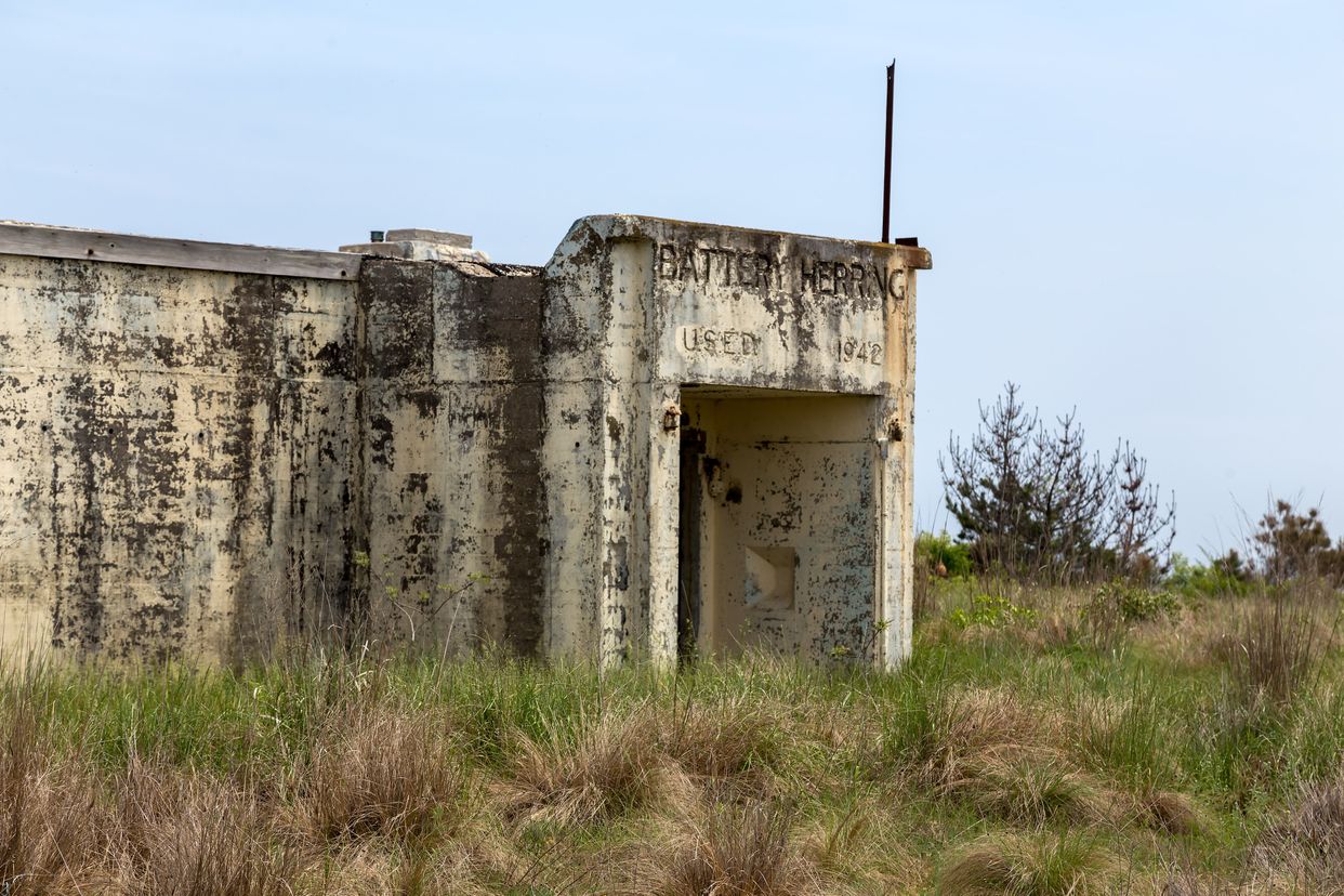 Battery Herring